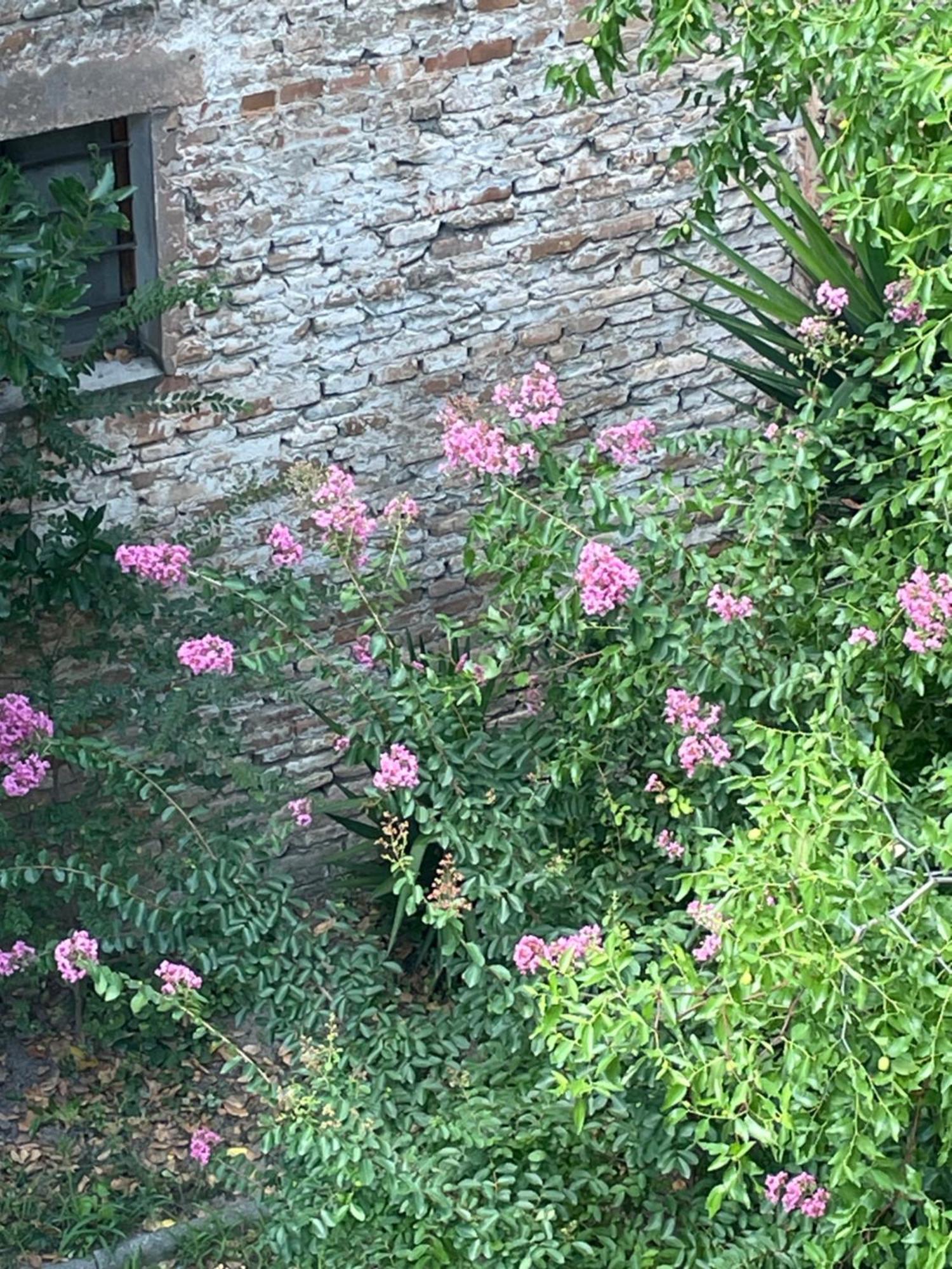 Romagna Apartments Massa Lombarda ภายนอก รูปภาพ